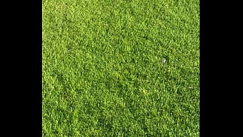 Just bouncing around under this tree sweating so i can make your pants tight