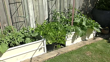Nz milf slut pees on plants in the garden bed for better growth Nz milf slut pees on plants in the garden bed for better growth