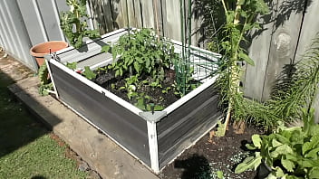 Nz milf slut pees on plants in the garden bed for better growth