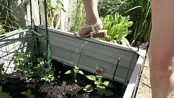 Nz milf slut pees on plants in the garden bed for better growth Nz milf slut pees on plants in the garden bed for better growth
