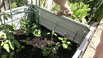 Nz milf slut pees on plants in the garden bed for better growth