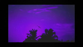 Beneath the waves among the ghosts of ships