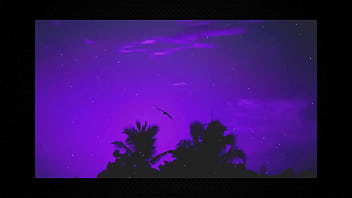 Beneath the waves among the ghosts of ships