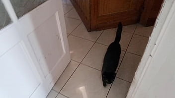 Lilly veroni vittoria divine mary rirder lynn lynx rubi storm behind the scenes anal piss