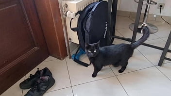 Lilly veroni vittoria divine mary rirder lynn lynx rubi storm behind the scenes anal piss