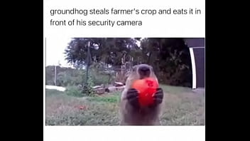 Furry absolutely fucks farmer over