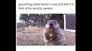 Furry absolutely fucks farmer over