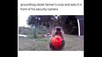 Furry absolutely fucks farmer over