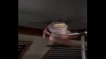 Vídeo de verificação