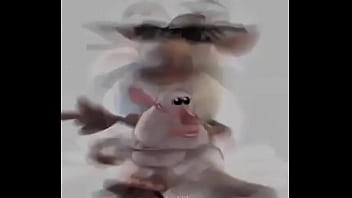 Vídeo de verificação