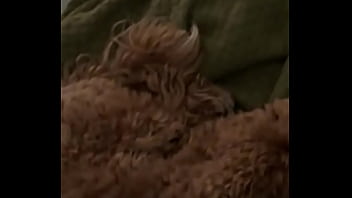 Behind the only cara mella valentinoroca77 yeribluexx #christorresfor enjoyx official