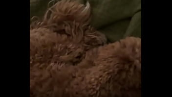 Behind the only cara mella valentinoroca77 yeribluexx #christorresfor enjoyx official