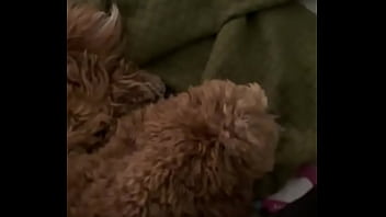 Behind the only cara mella valentinoroca77 yeribluexx #christorresfor enjoyx official