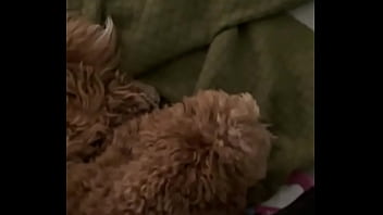 Behind the only cara mella valentinoroca77 yeribluexx #christorresfor enjoyx official