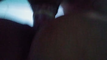 Cachorra adora fuder