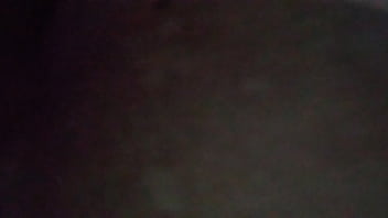 Cachorra adora fuder