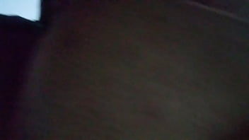 Cachorra adora fuder