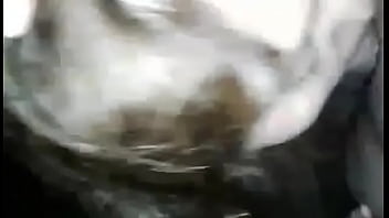 Received 163421664404534