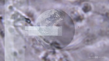 Hardwerk hologang with lucy huxley