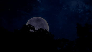 Chocolate babe destroyed by giant dick