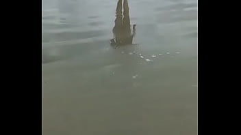 Me exibindo na praia com bikine bem pequeno Me exibindo na praia com bikine bem pequeno