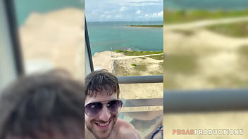 Pegas productions lili cocksinhell et dave march la croisière s'amuse