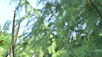 Bikini babes lia lin and vanessa alessia seduce the gardener into a steamy threesome in the sun gp3299