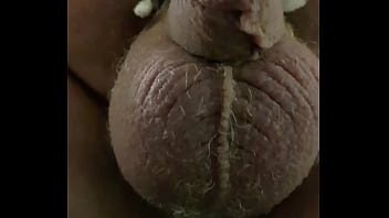 Flashing small cock bound balls