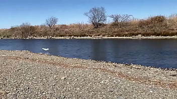 テストです、直ぐに削除します