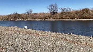 テストです、直ぐに削除します