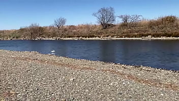 テストです、直ぐに削除します