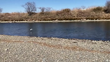 テストです、直ぐに削除します