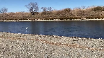 テストです、直ぐに削除します