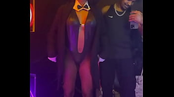 Coelhinha mais linda rt