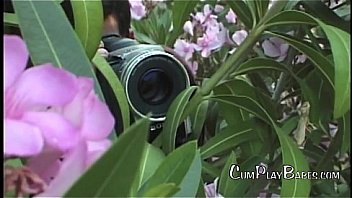 Jake steed collection