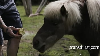 Nonton Hot Tranny Gets Fucked thumbnail