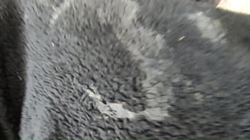 Double pleasure with milfycalla – episode 27 of 47 – stockings blowjobs anal & cumshots preview