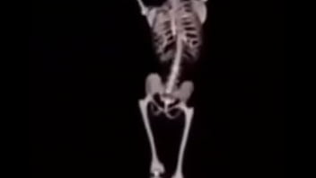 Mulher deliciosa da capa em ladrão com a buceta