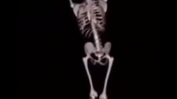 Mulher deliciosa da capa em ladrão com a buceta Mulher deliciosa da capa em ladrão com a buceta