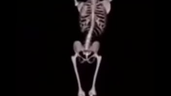 Mulher deliciosa da capa em ladrão com a buceta