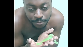 Scorpio zodiac animals that are green like a leaf 3