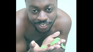 Scorpio zodiac animals that are green like a leaf 3