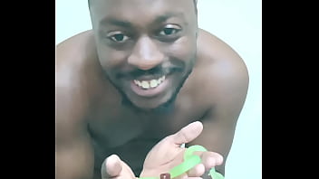 Scorpio zodiac animals that are green like a leaf 3