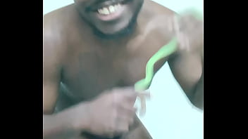 Scorpio zodiac animals that are green like a leaf 3