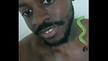 Scorpio zodiac animals that are green like a leaf 3