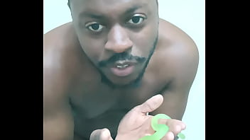 Scorpio zodiac animals that are green like a leaf 3