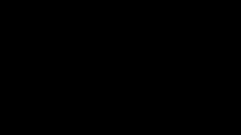 20161126 103137 thumbnail