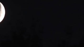 This is a video of the moon it is sfw i hope you like it This is a video of the moon it is sfw i hope you like it