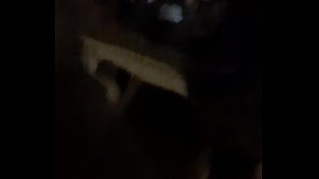 Cat in the hat with a big duck goose