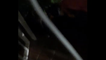 Cat in the hat with a big duck goose